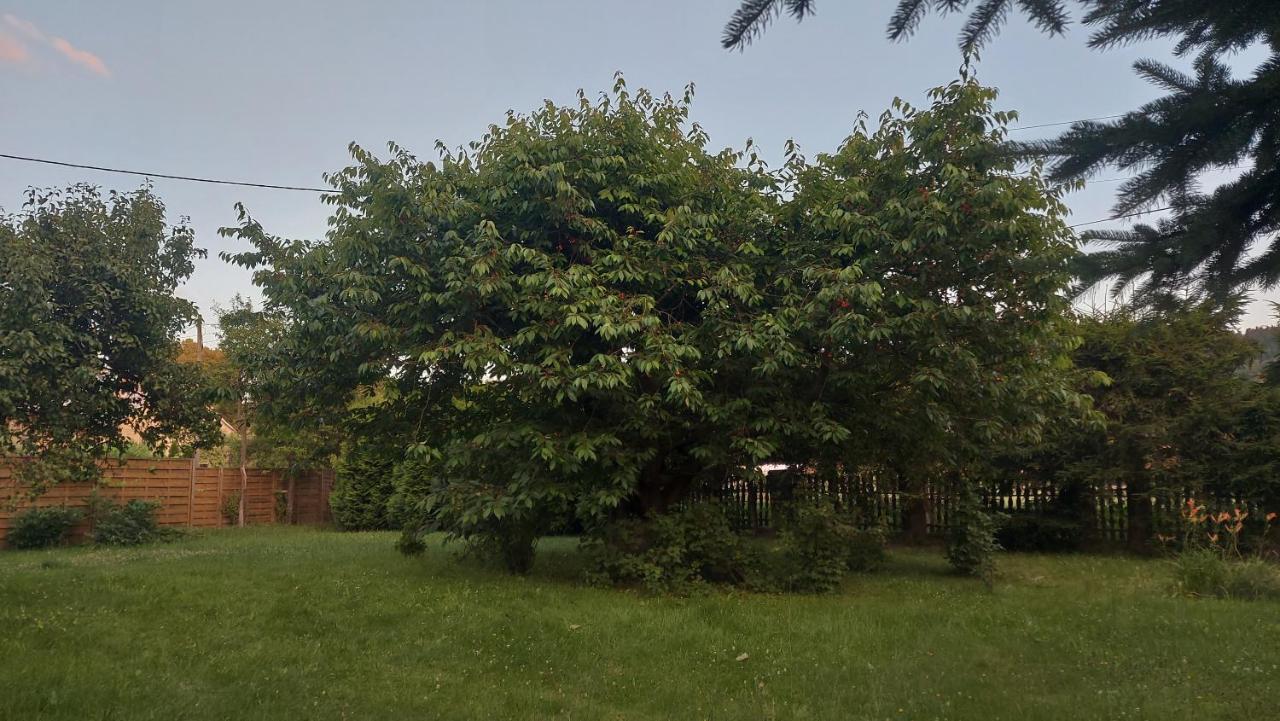 Apartamenty Stokrotka Lądek-Zdrój Εξωτερικό φωτογραφία