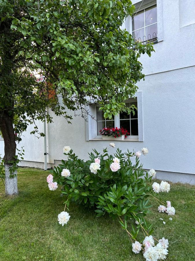 Apartamenty Stokrotka Lądek-Zdrój Εξωτερικό φωτογραφία